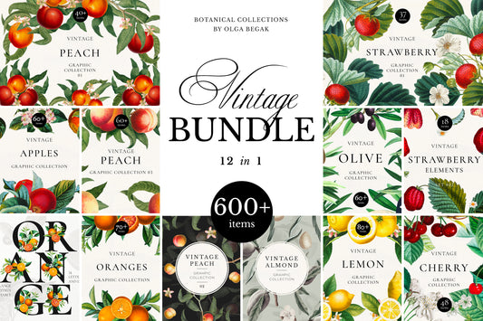 Vintage Botanical Graphics Bundle • 600+ Floral & Fruits Isolated Elements, Frames, Arrangements, Letters and Seamless Patterns
