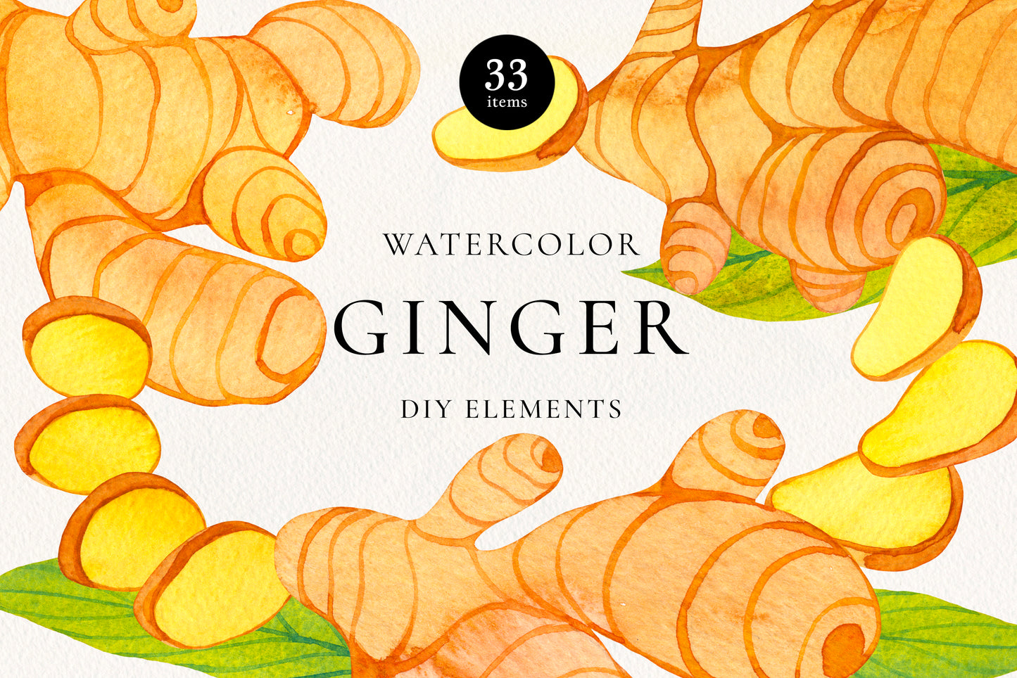 WATERCOLOR GINGER Graphic Collection