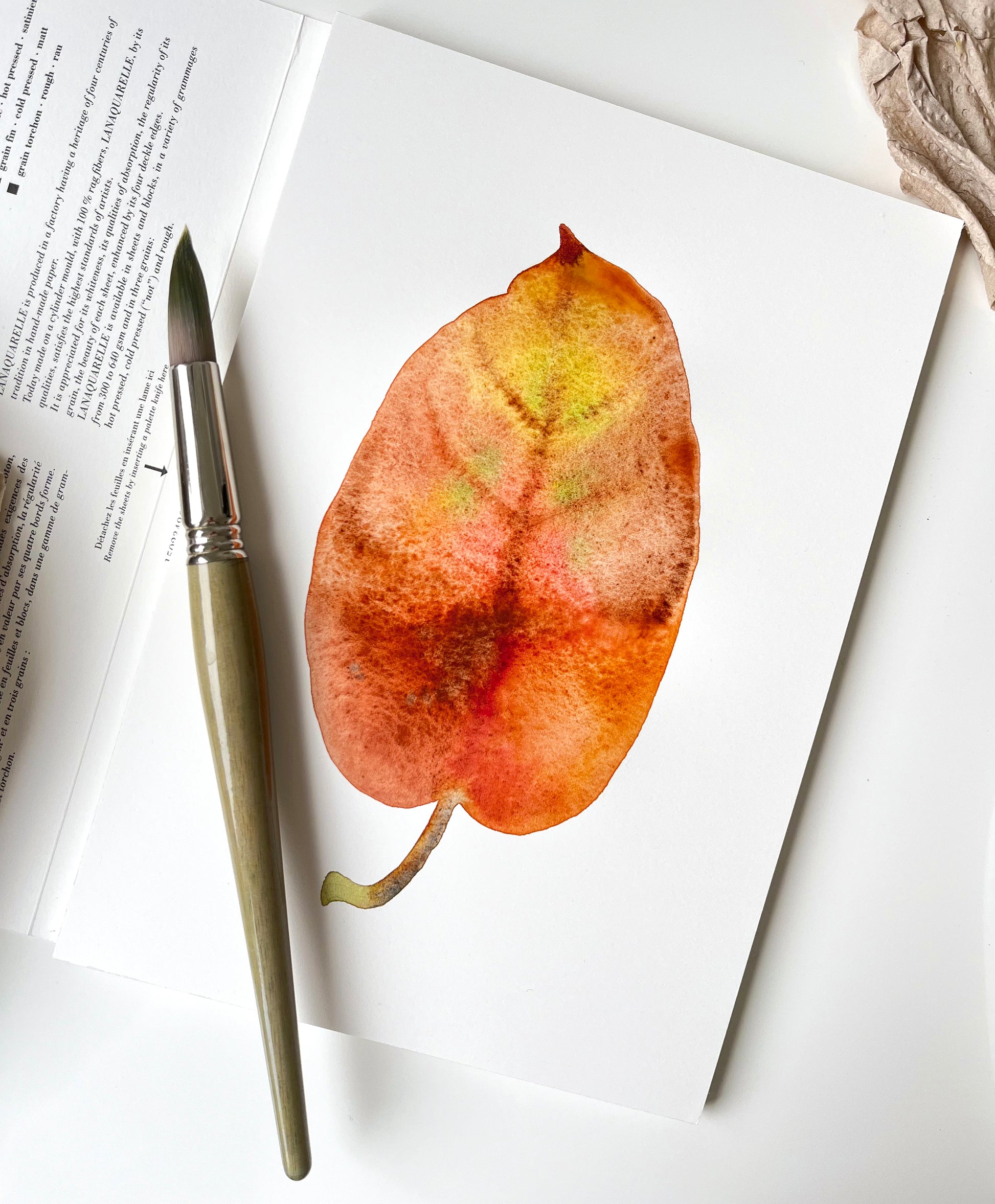 Dried autumn leaf, probably jackfruit tree, watercolor in progress with large paintbrush
