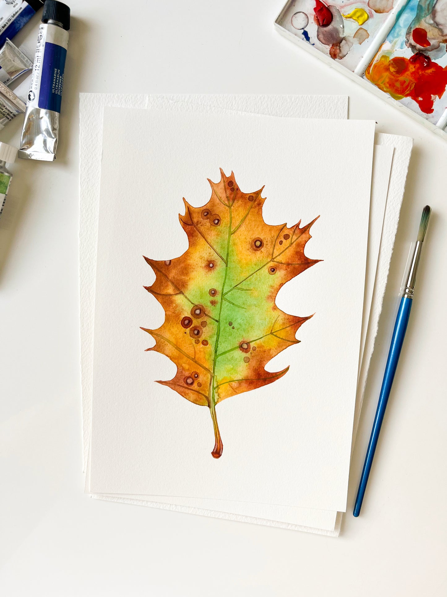 Original watercolor painting of a dried oak leaf with art supplies
