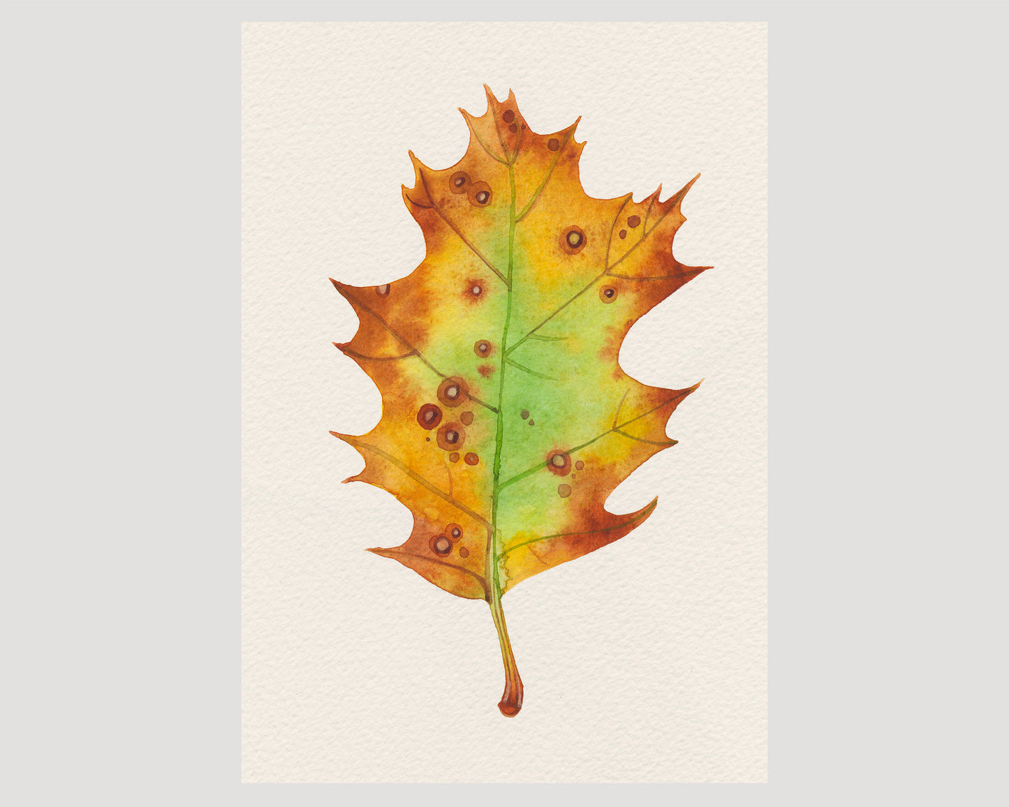 A watercolor painting of an autumn oak leaf with yellow, orange, and green tones, detailed with small brown spots.