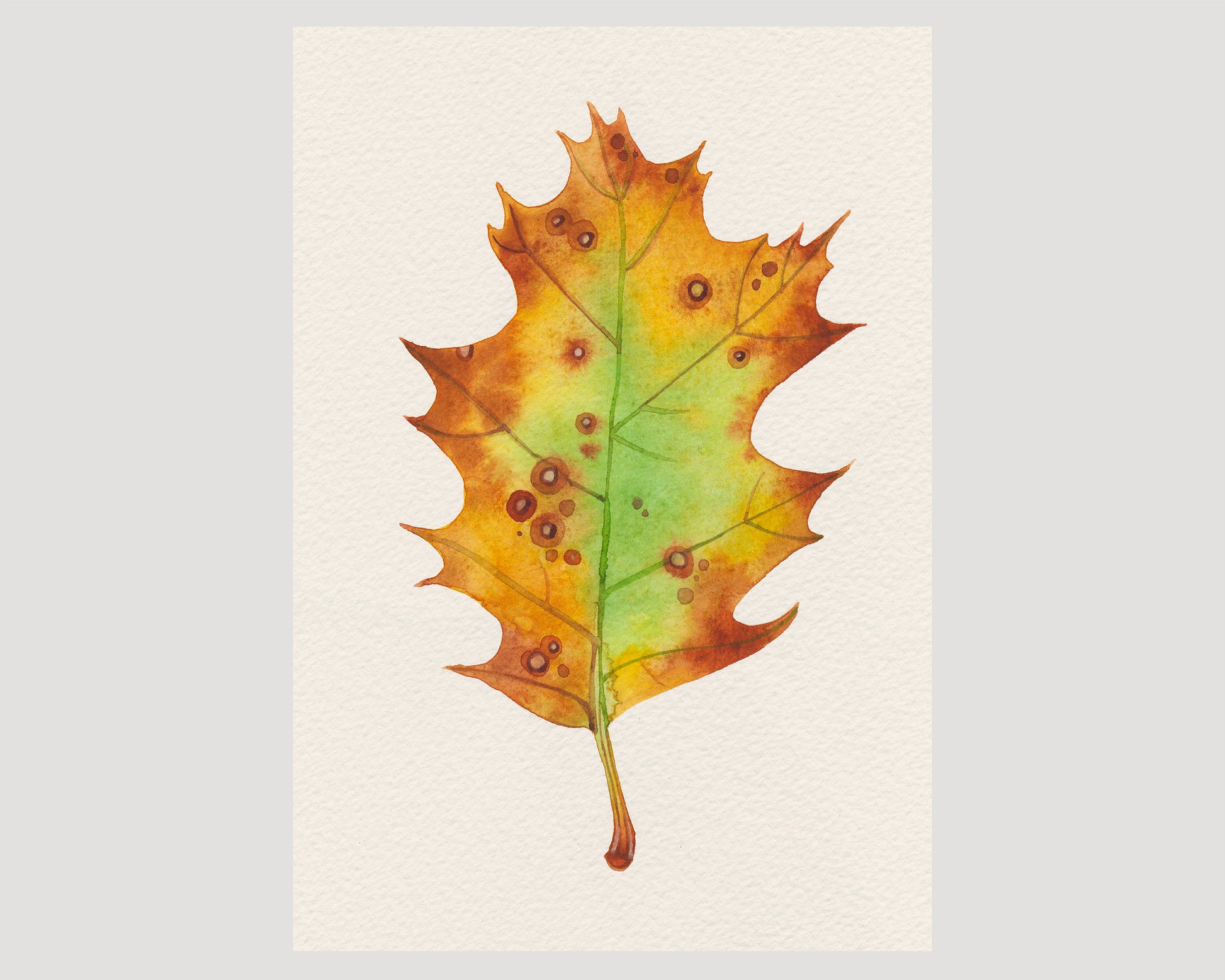A watercolor painting of an autumn oak leaf with yellow, orange, and green tones, detailed with small brown spots.