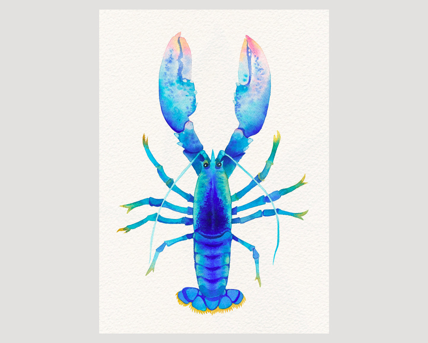 Blue American Lobster watercolor art print 02