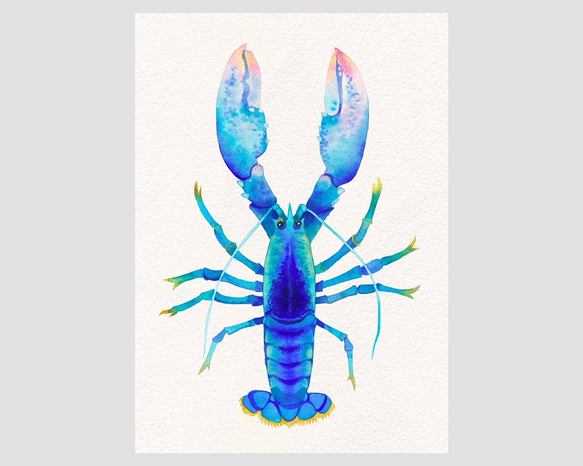 Blue American Lobster watercolor art print 02