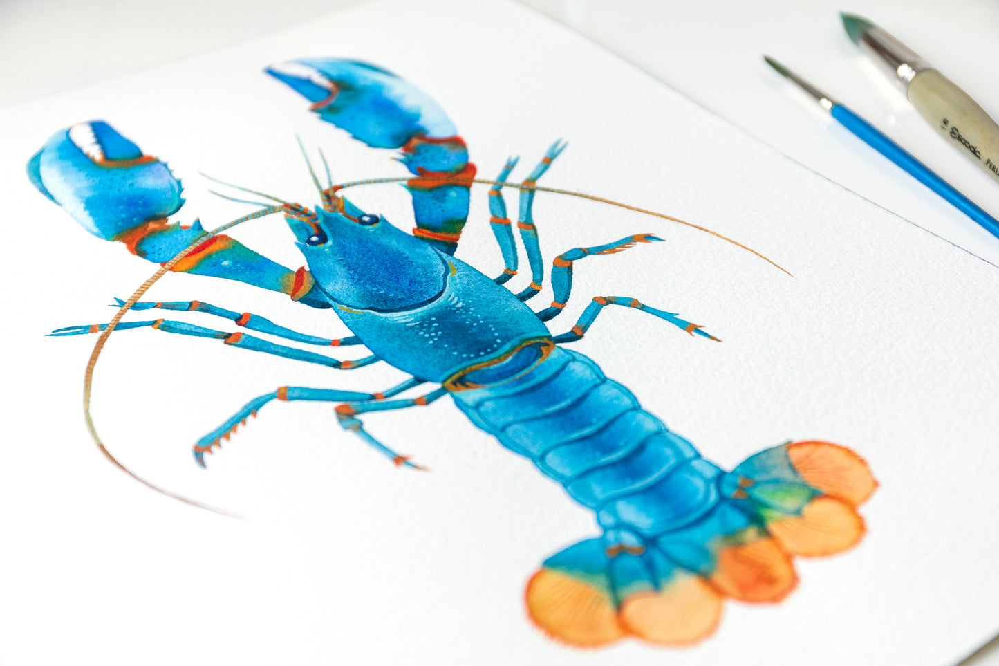 Original Blue Kong Zebra Crayfish watercolor painting accompanied by paintbrushes