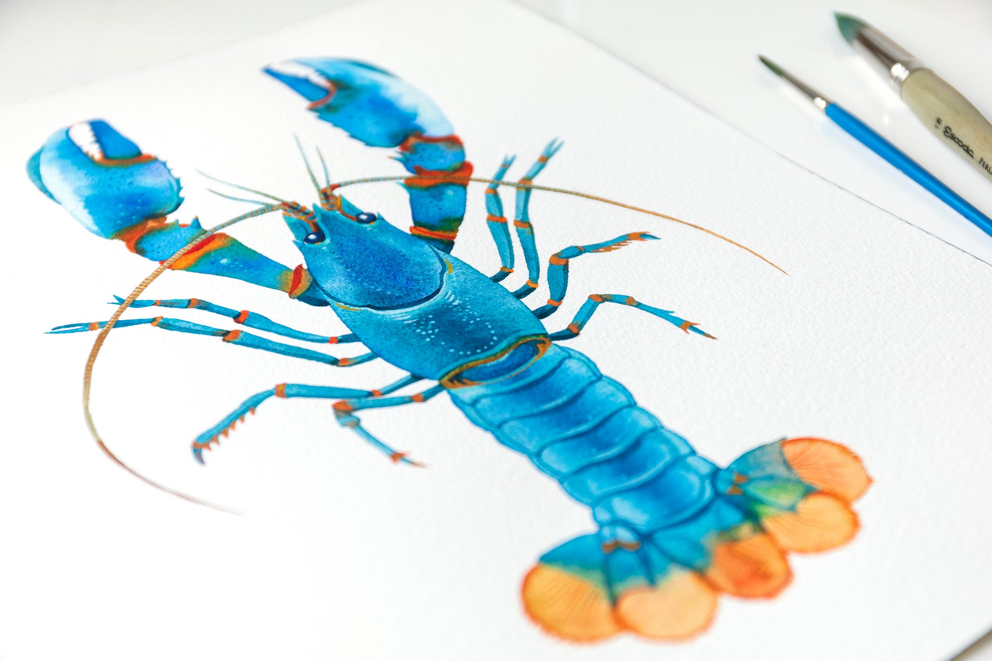 Original Blue Kong Zebra Crayfish watercolor painting accompanied by paintbrushes