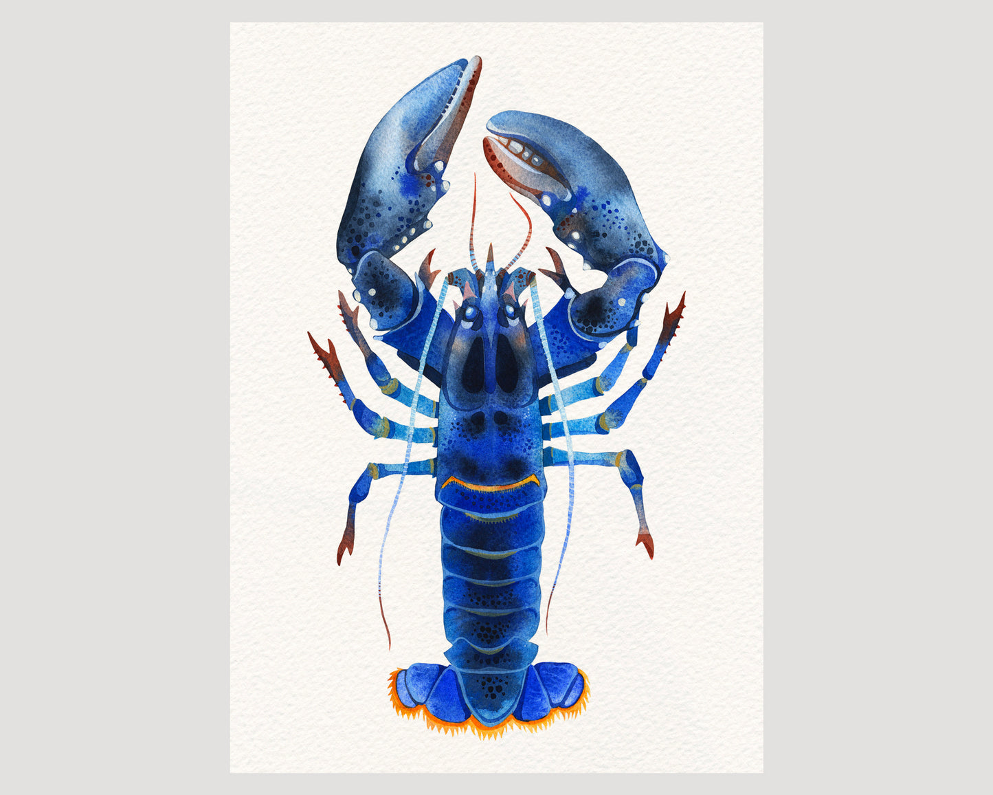 Blue Lobster watercolor art print 04