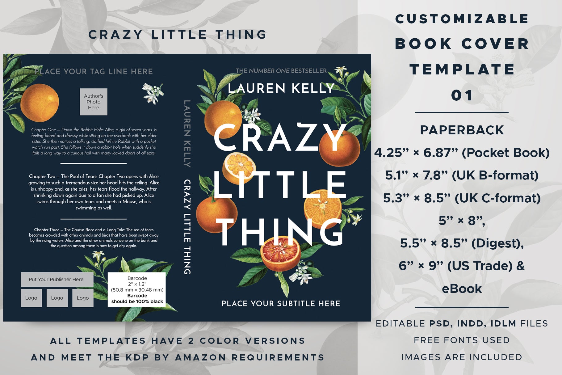 Book cover template No. 01 promotional graphic