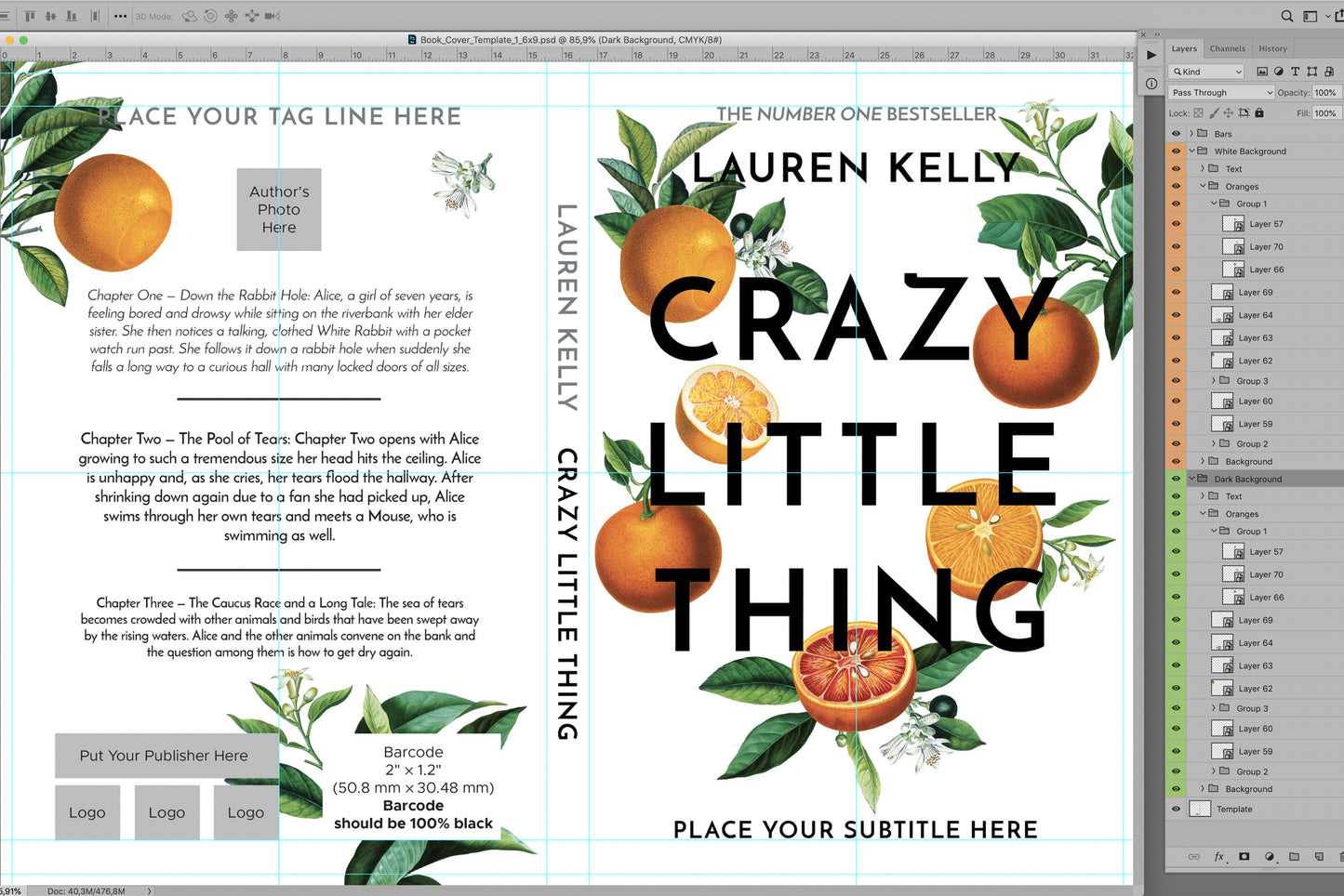 Book cover template No. 01 PSD preview