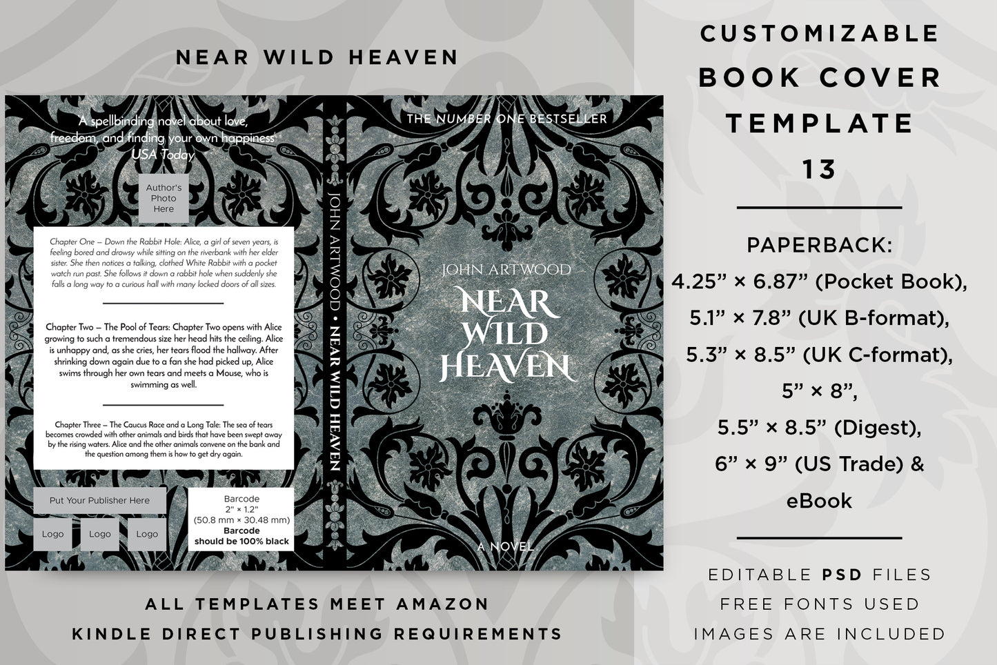 Book cover template No. 13 promotional graphic