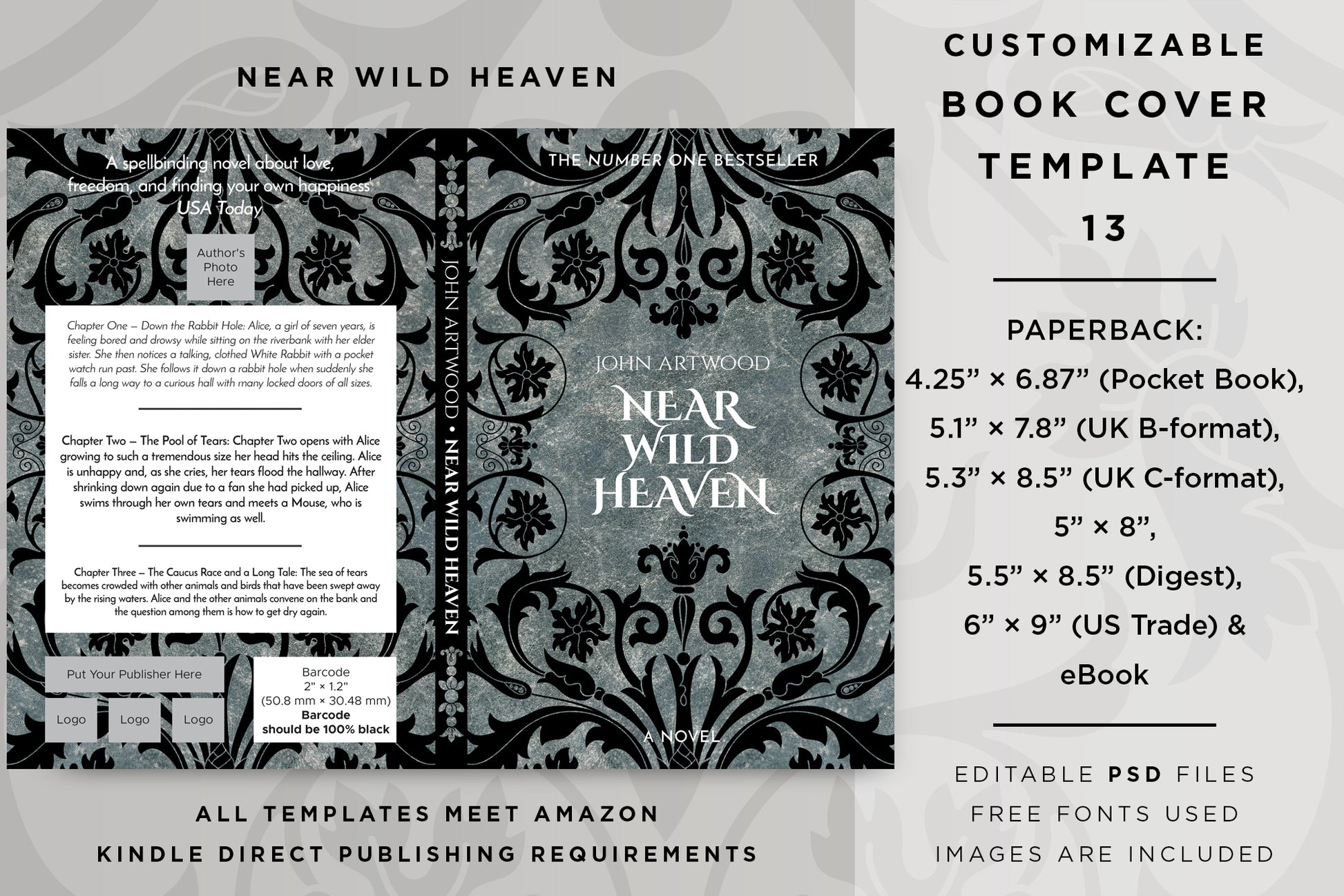 Book cover template No. 13 promotional graphic