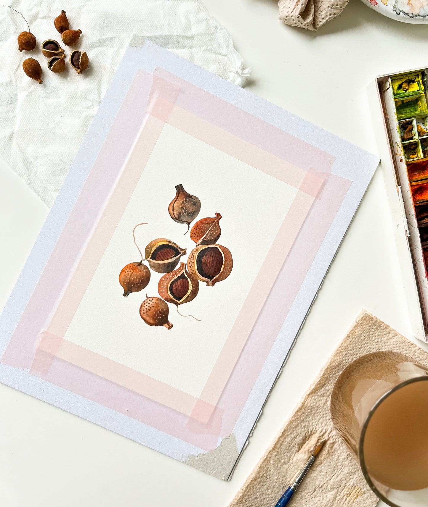 Original watercolor study of bottlebrush buckeye seeds, accompanied by art supplies and dried seeds