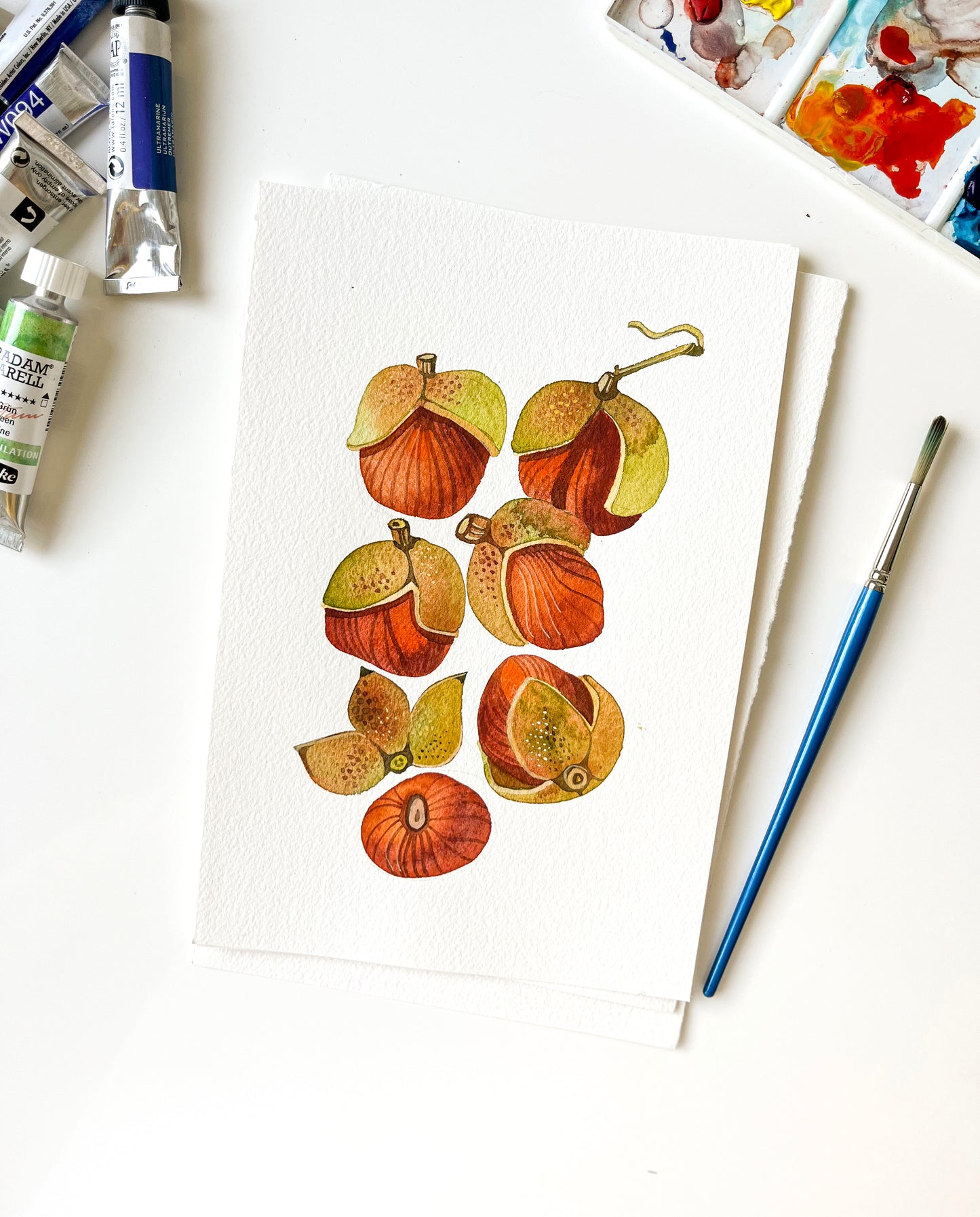 Original watercolor study of bottlebrush buckeye fruits, accompanied by art supplies
