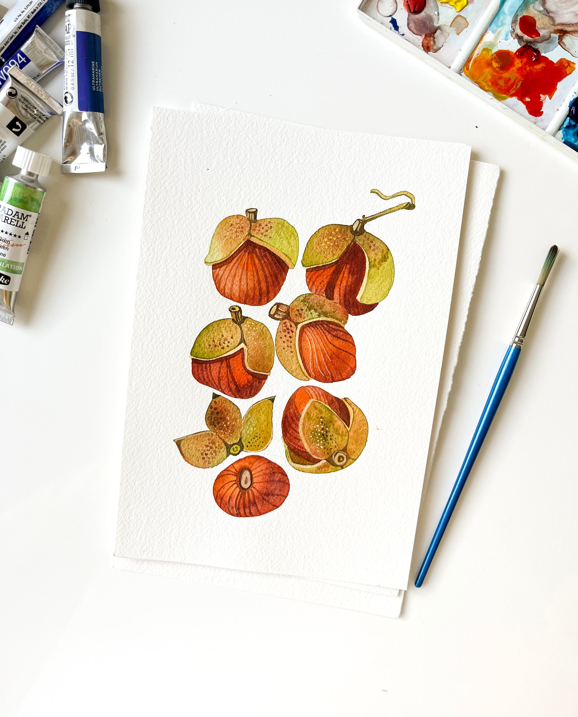 Original watercolor study of bottlebrush buckeye fruits, accompanied by art supplies