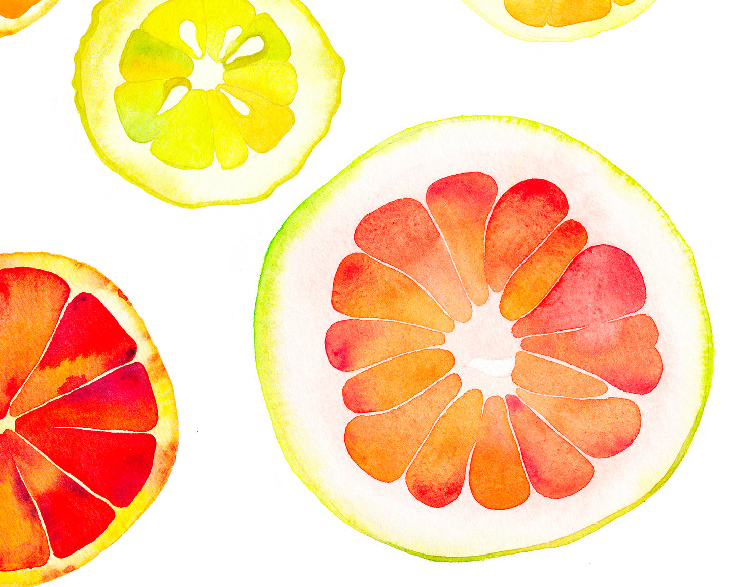 Detail pomelo view of a watercolor painting featuring colorful citrus slices chart