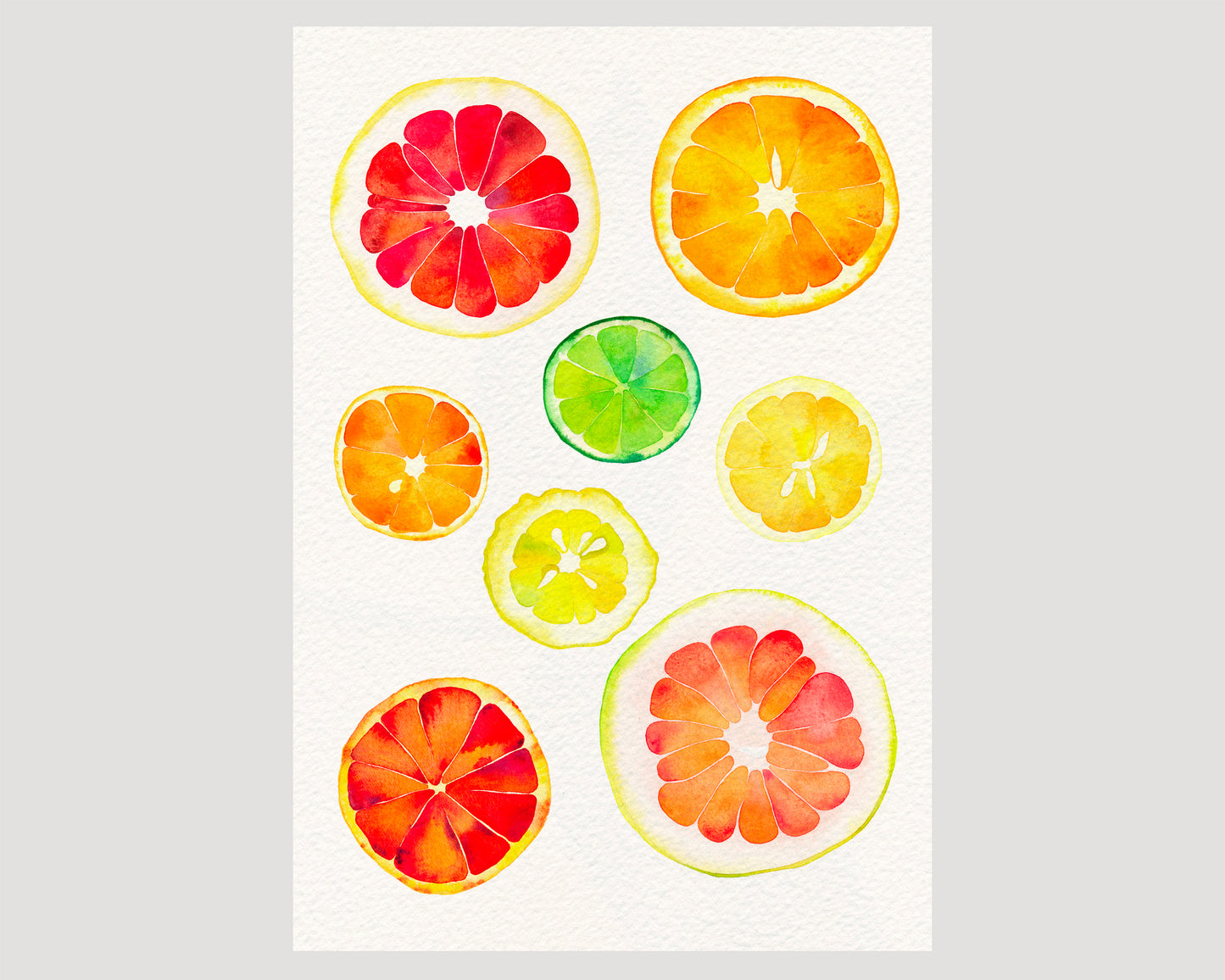 Watercolor painting of colorful citrus slices chart