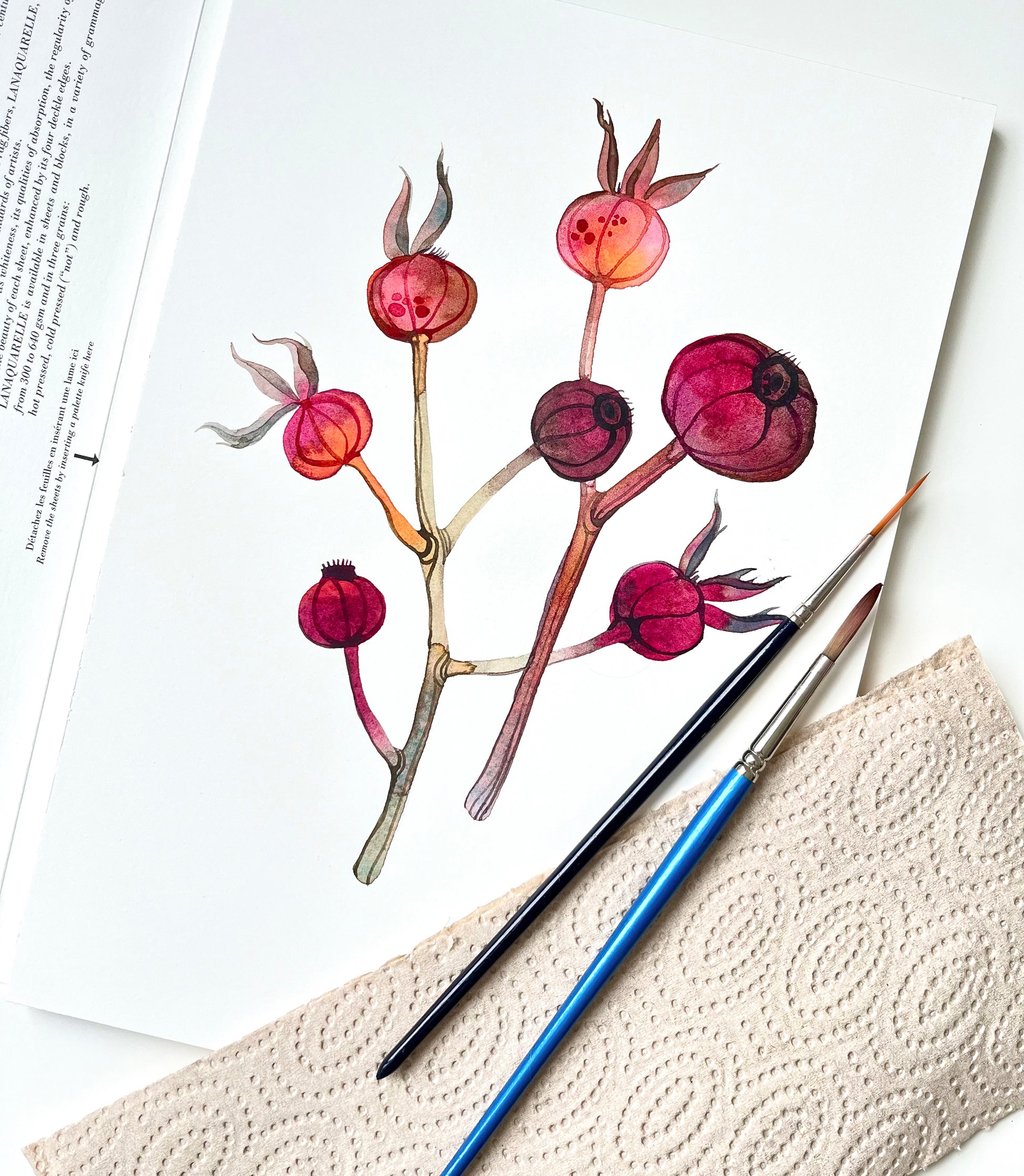 An original watercolor study of dried dog rose hips, accompanied by two paintbruhses