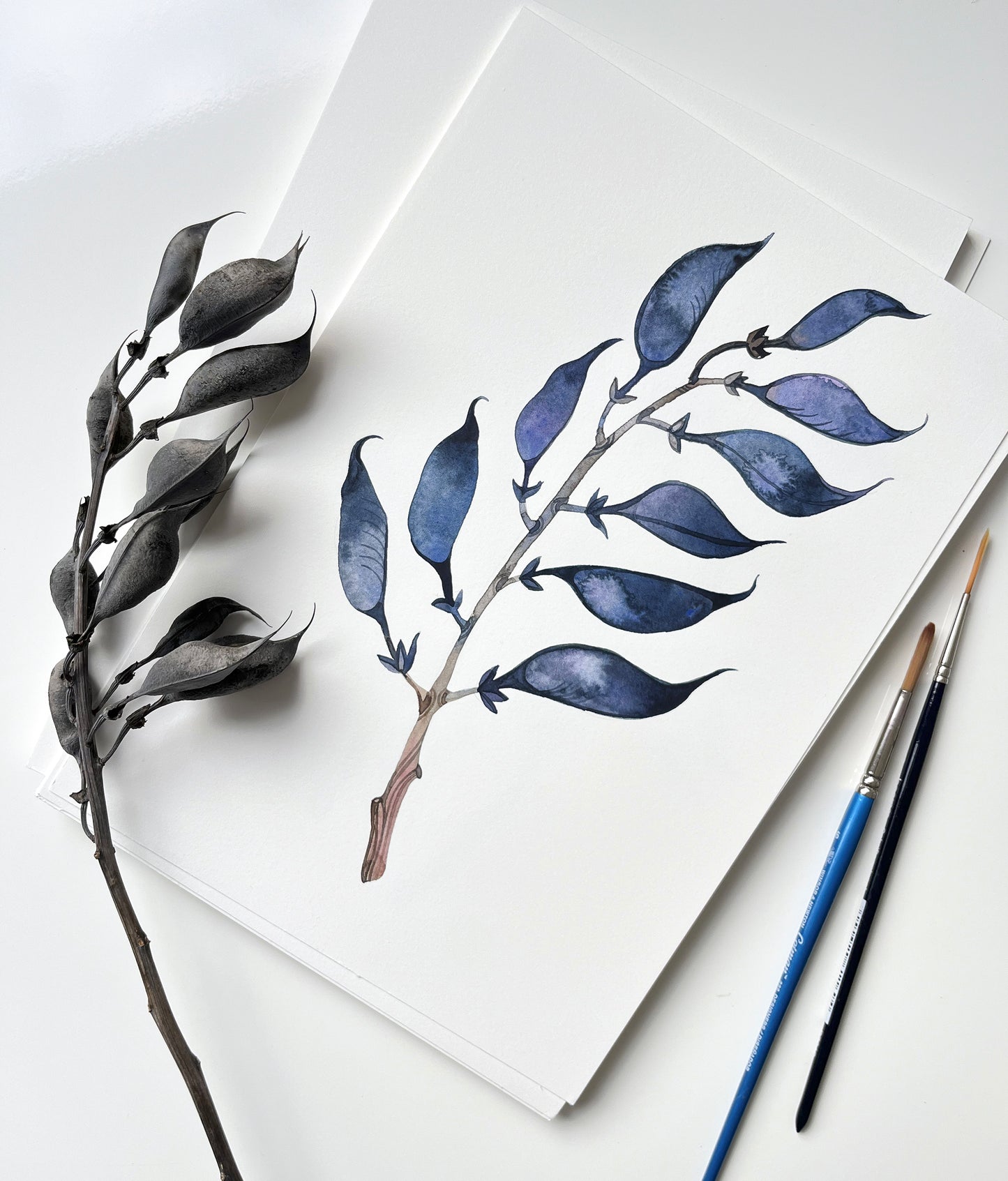 Original watercolor painting featuring dried longbract wild indigo plant accompanied by plant itself and two paintbrushes