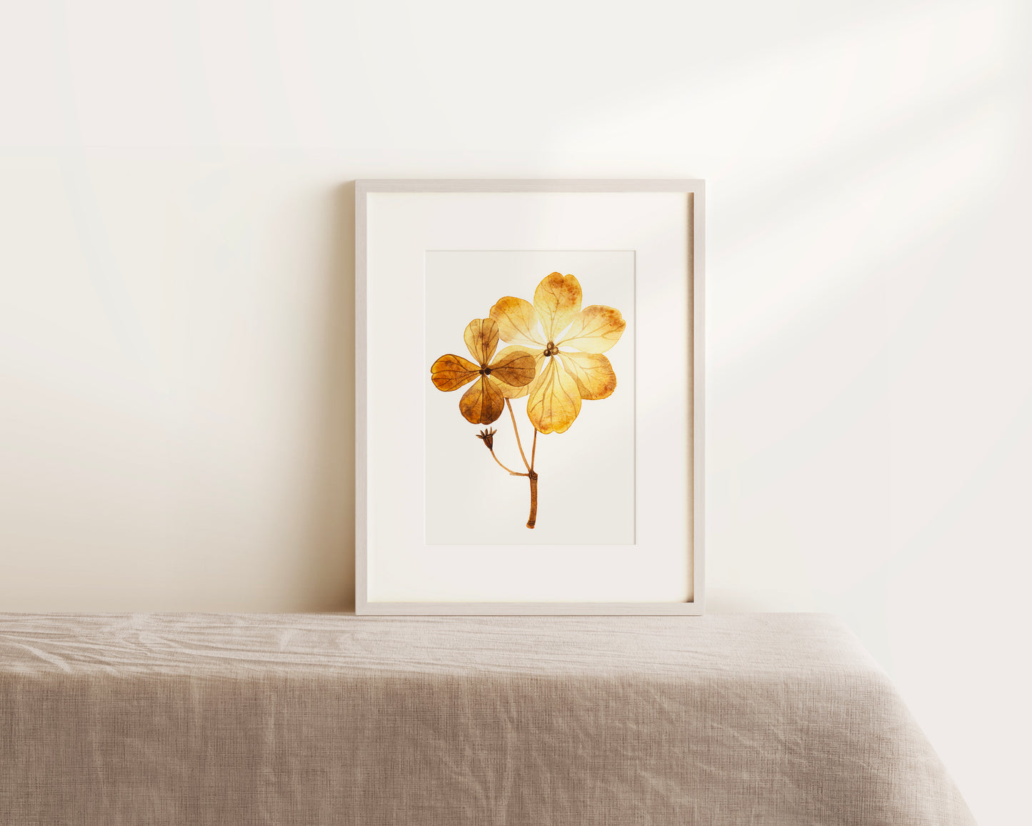A framed botanical watercolor art print featuring dried pressed hydrangea flowers.