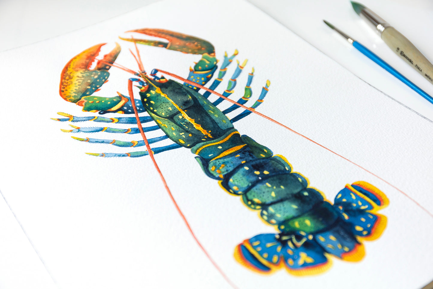 European lobster watercolor painting original with paintbrushes