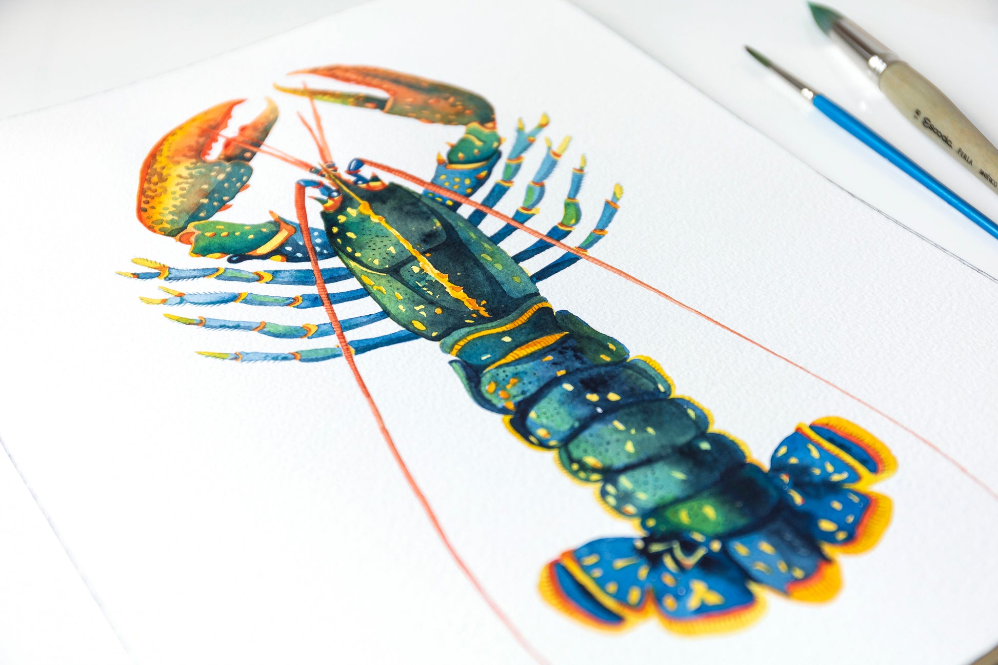 European lobster watercolor painting original with paintbrushes