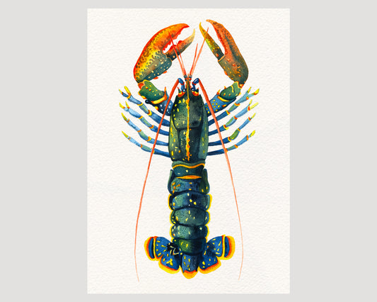 European lobster watercolor art print-05