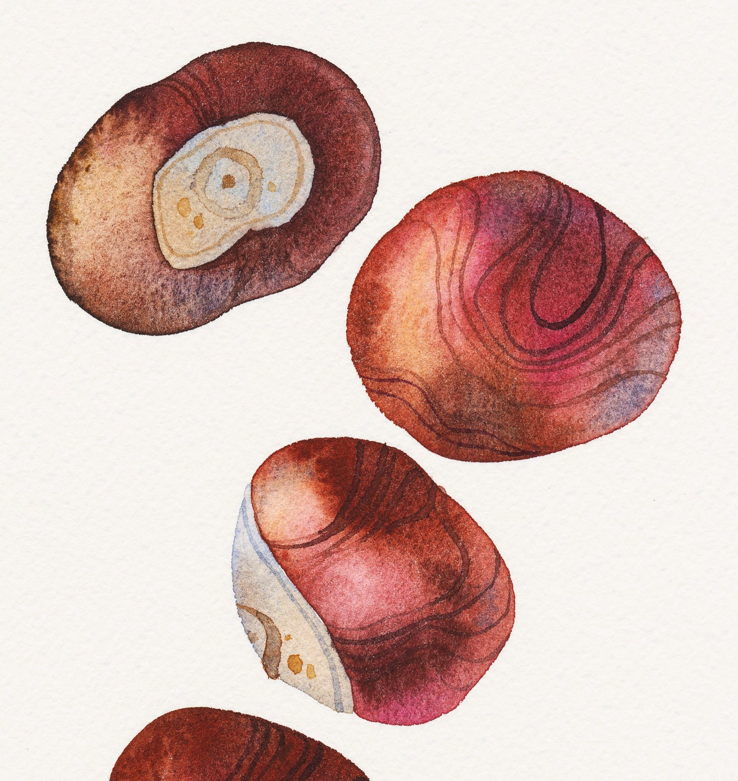 Close-up of an original watercolor painting of several horse chestnuts