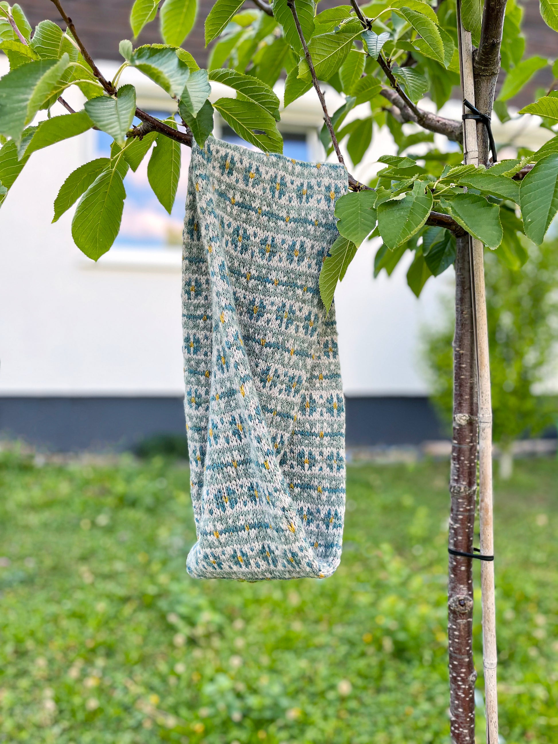 A knitted twisted cowl scarf with a gray, teal blue, and yellow Fair Isle pattern, hanging from a leafy tree branch in an outdoor garden setting.