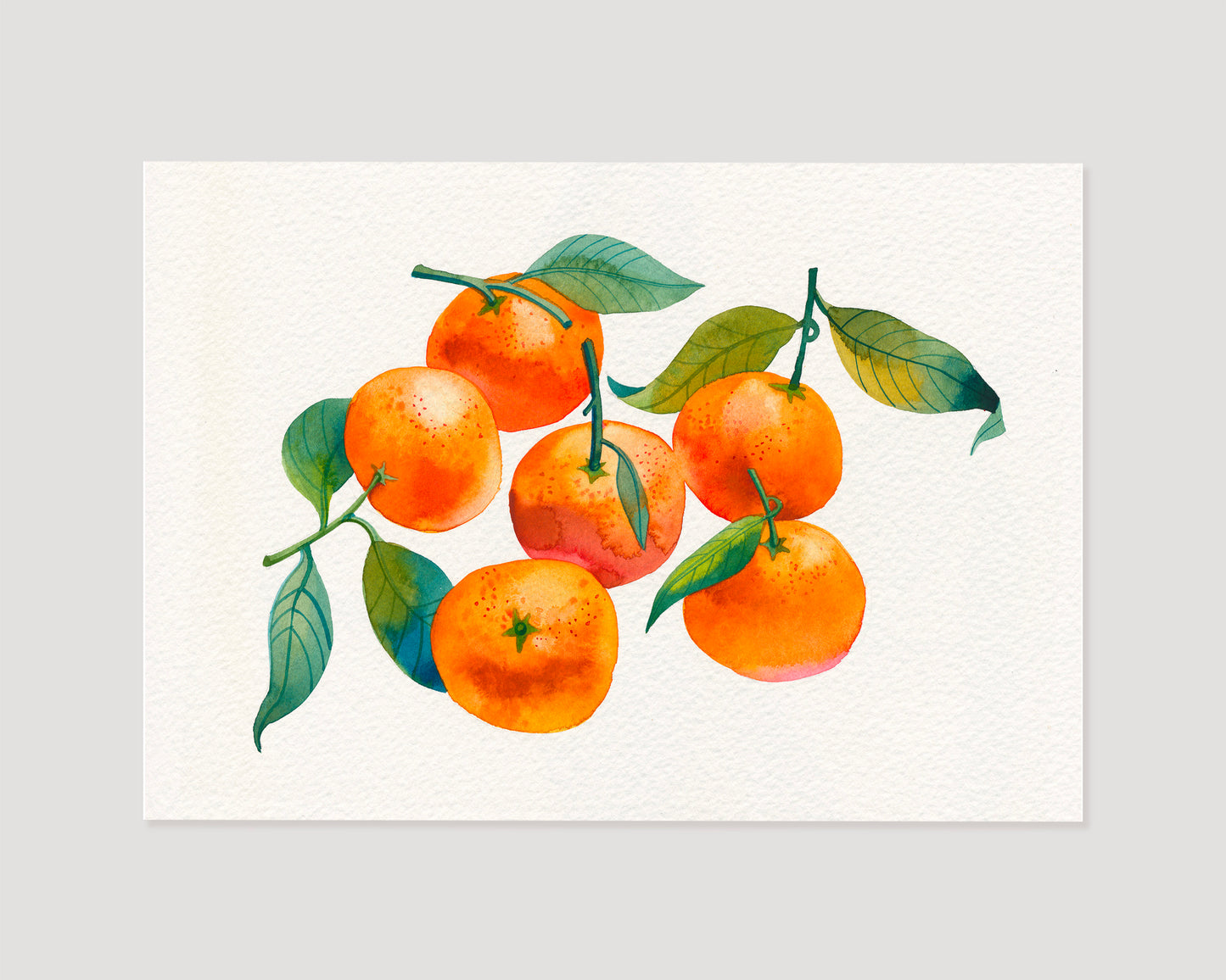 A watercolor painting of orange  mandarins with green leaves.