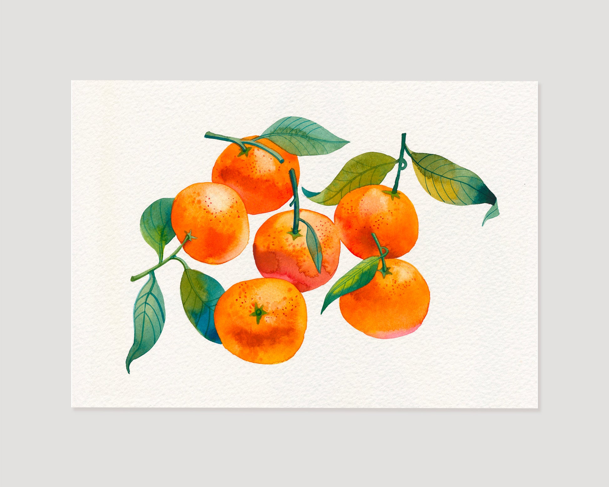 A watercolor painting of orange  mandarins with green leaves.