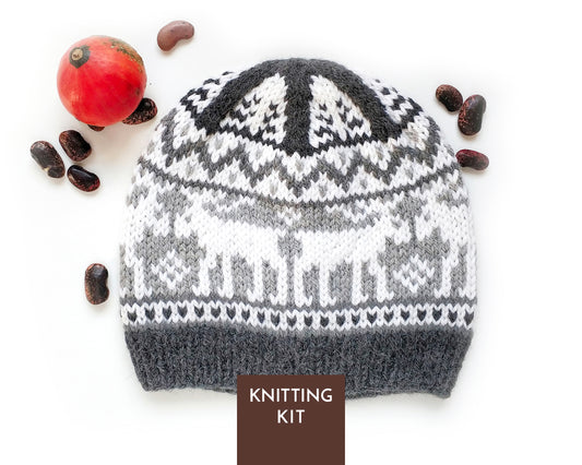 A knitted beanie hat with a gray and white Fair Isle pattern featuring moose motifs, styled on a white background with beans and a red pumpkin, with a brown label at the bottom reading 'KNITTING KIT'.