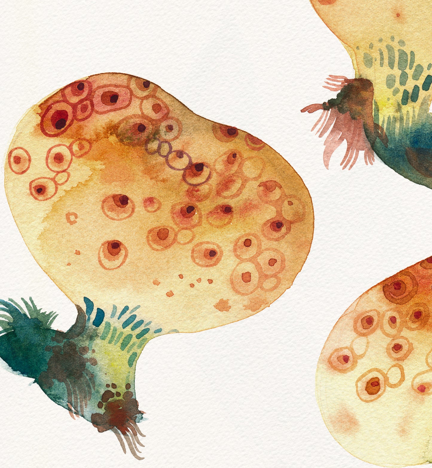 Close-up of a watercolor study with three mushrooms