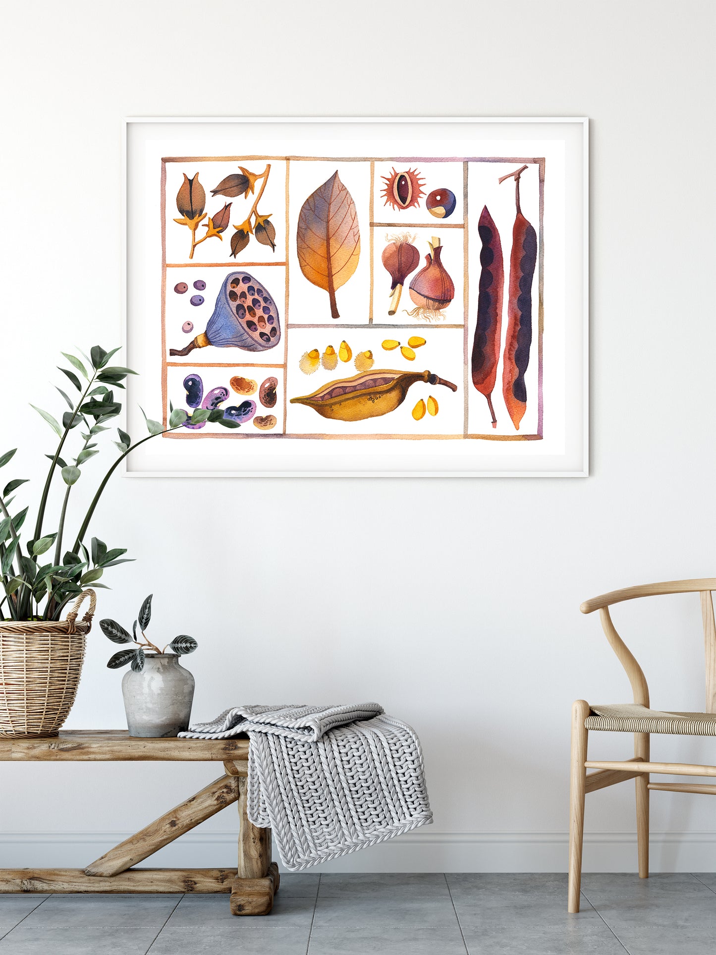 Framed art print of natural history specimen box, botanical curiosities