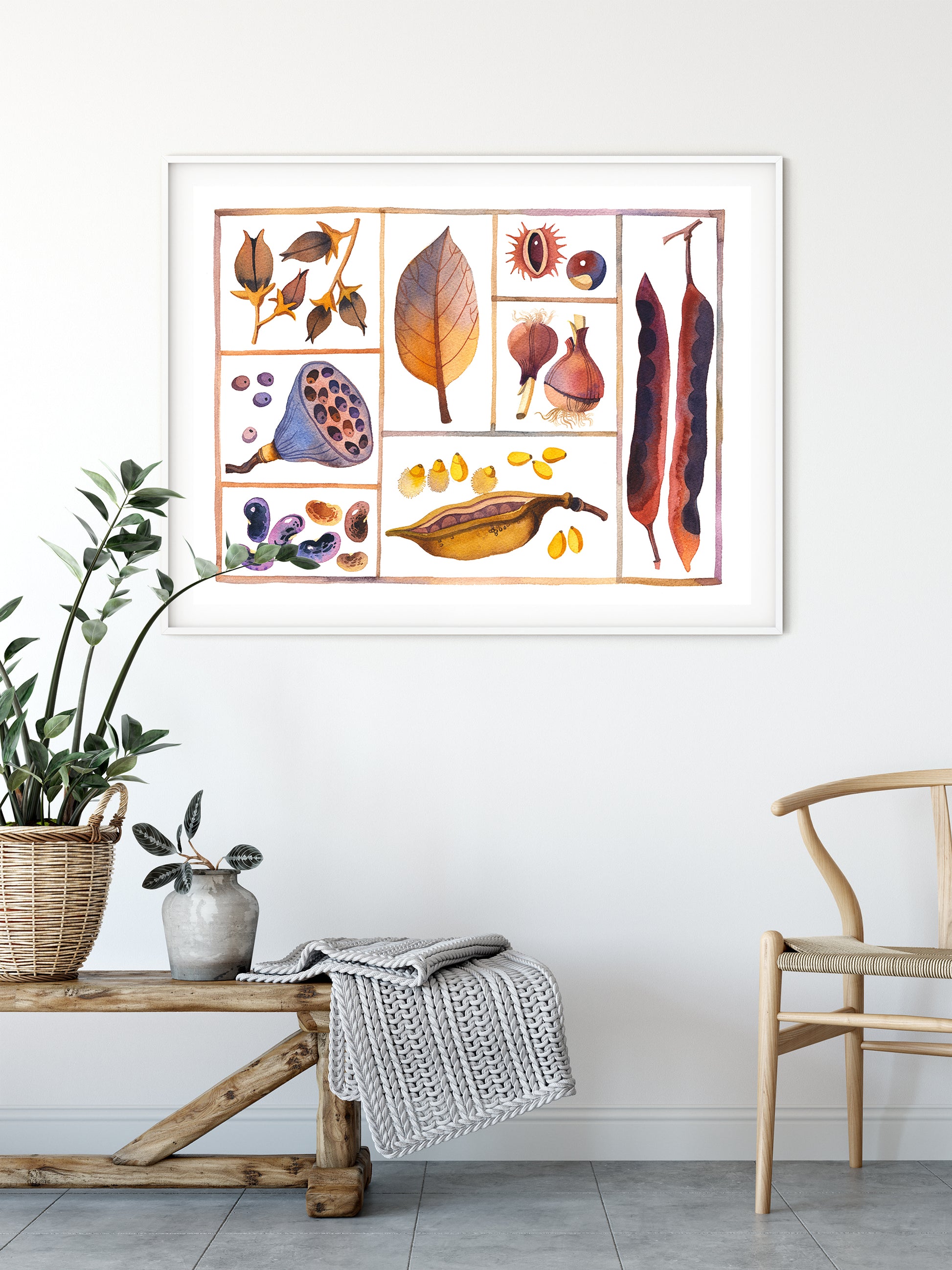 Framed art print of natural history specimen box, botanical curiosities
