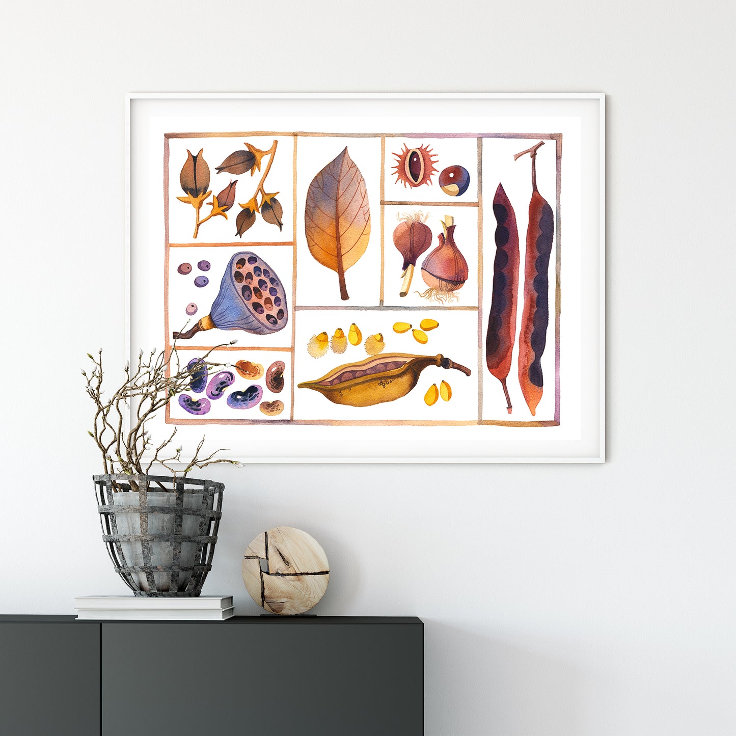 Framed specimen box print displayed on a white wall