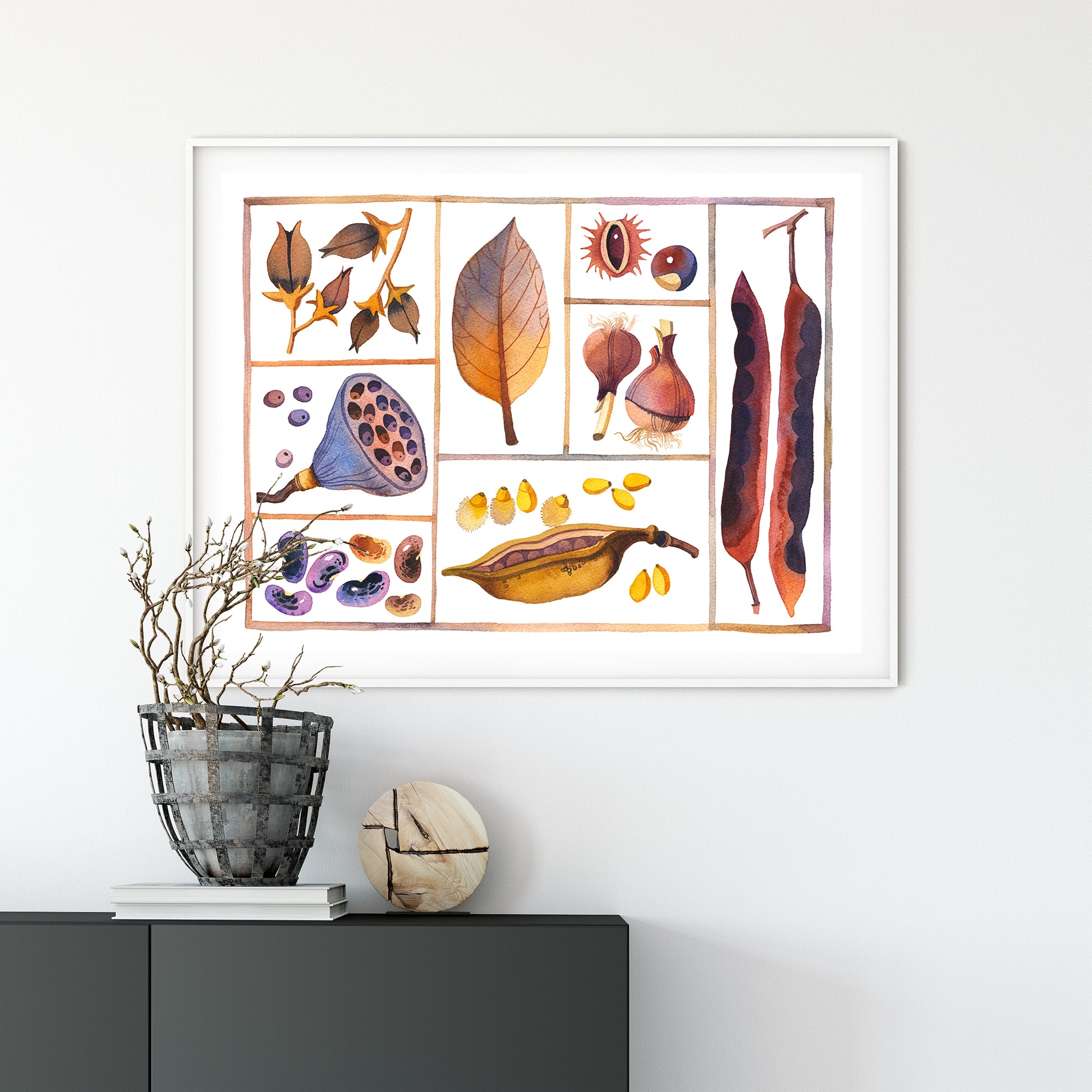 Framed specimen box print displayed on a white wall