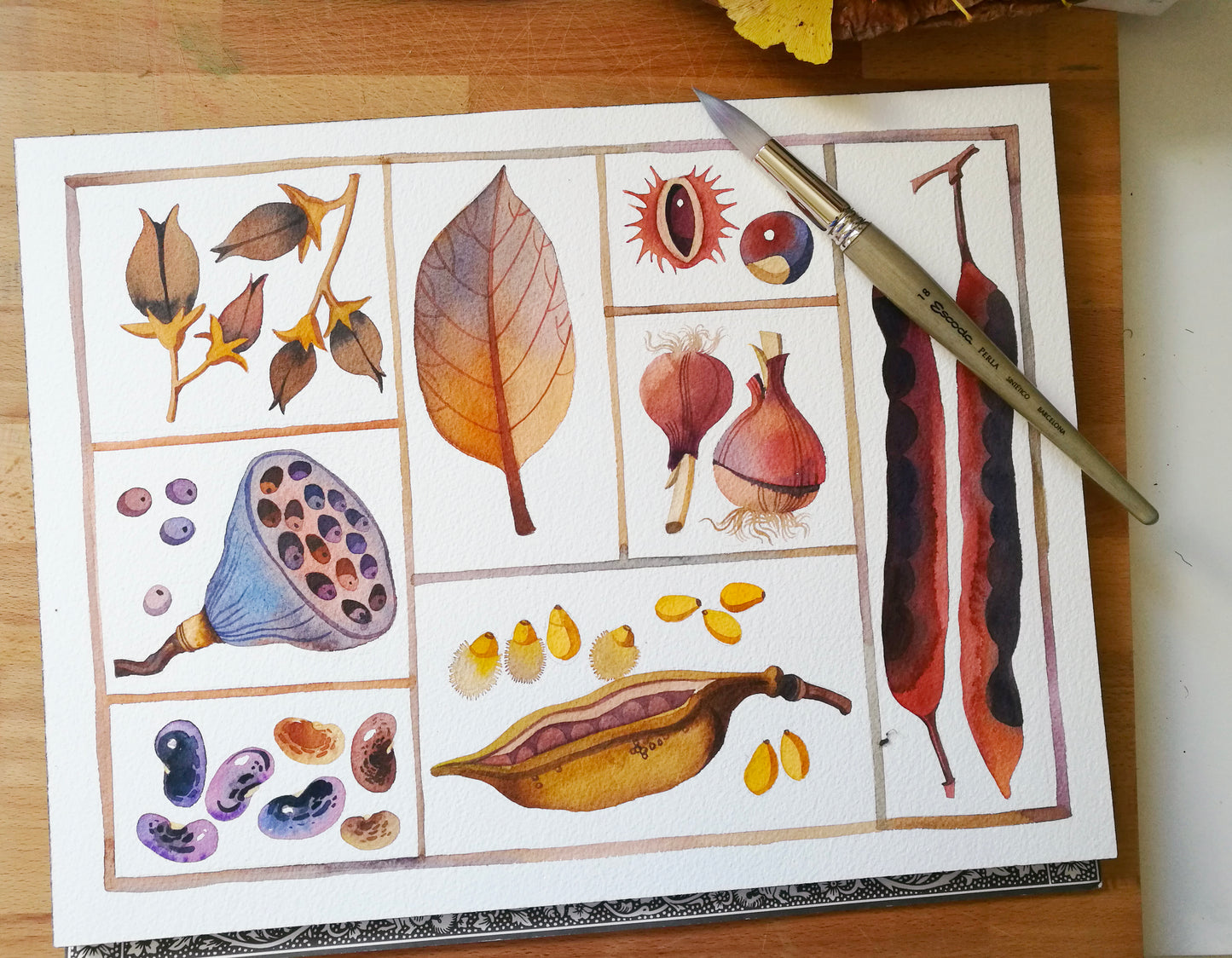 Original specimen box watercolor painting with paintbrush