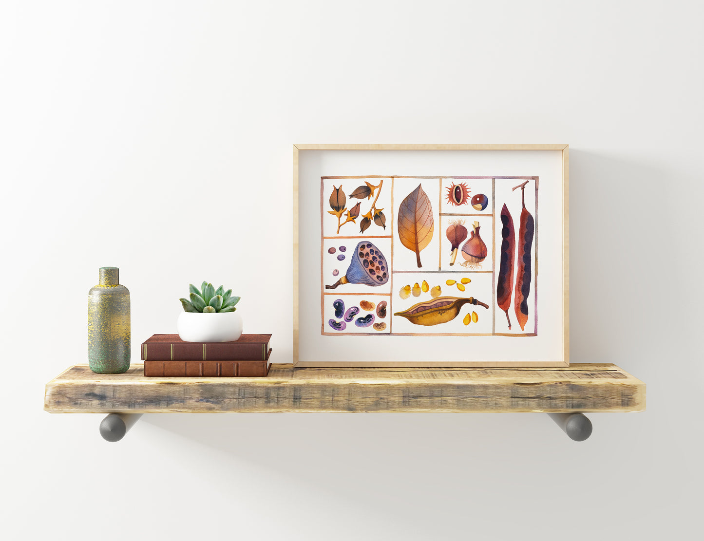 Small framed specimen box print on a wooden shelf