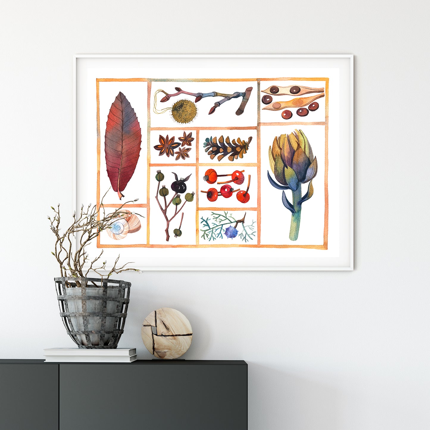 Framed art print of natural history specimen box, botanical curiosities, displayed on a whte wall