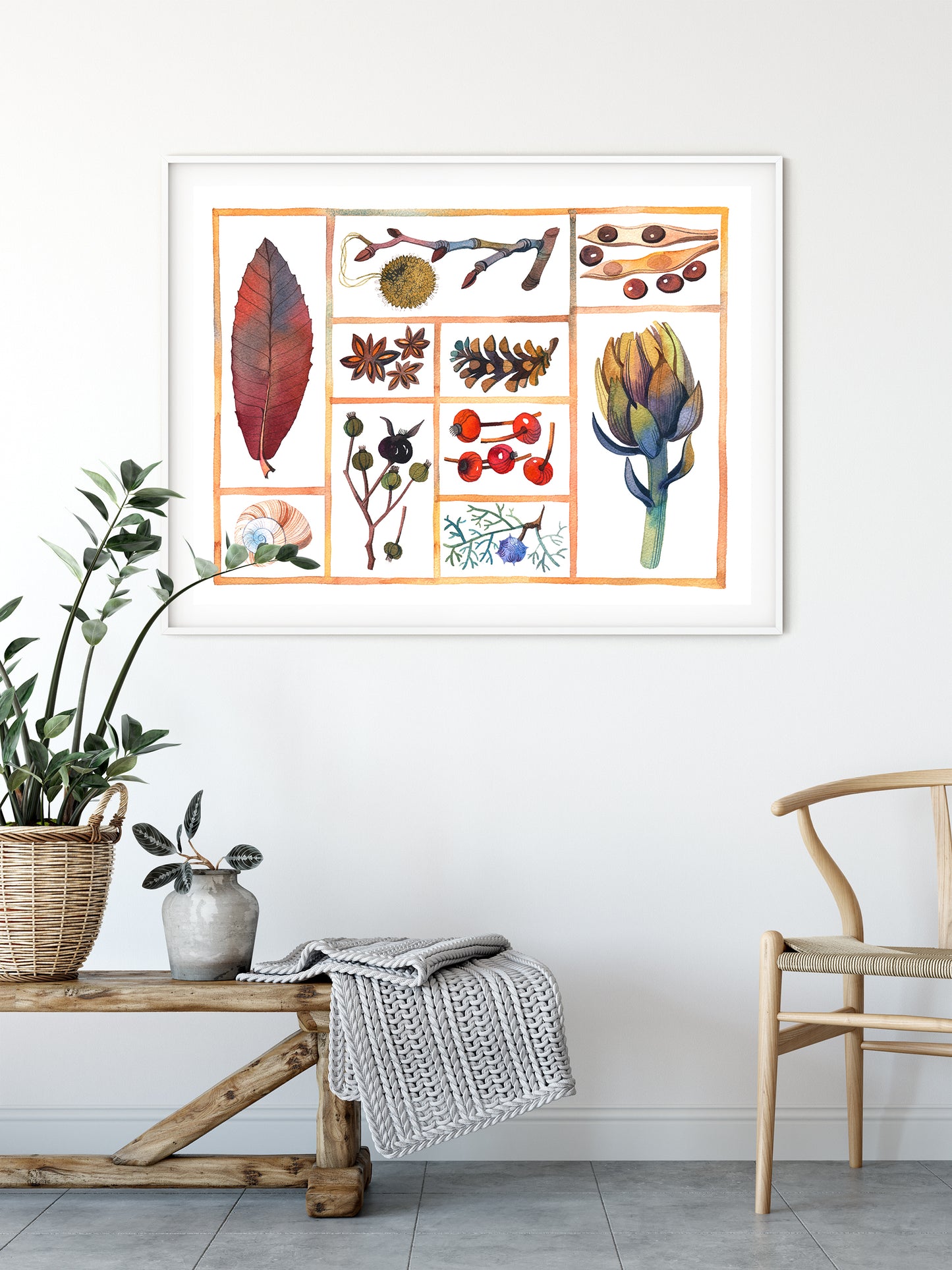 Framed natural history specimen box watercolor print, featured artichoke, leaves, cones and fruits, displayed on a white wall