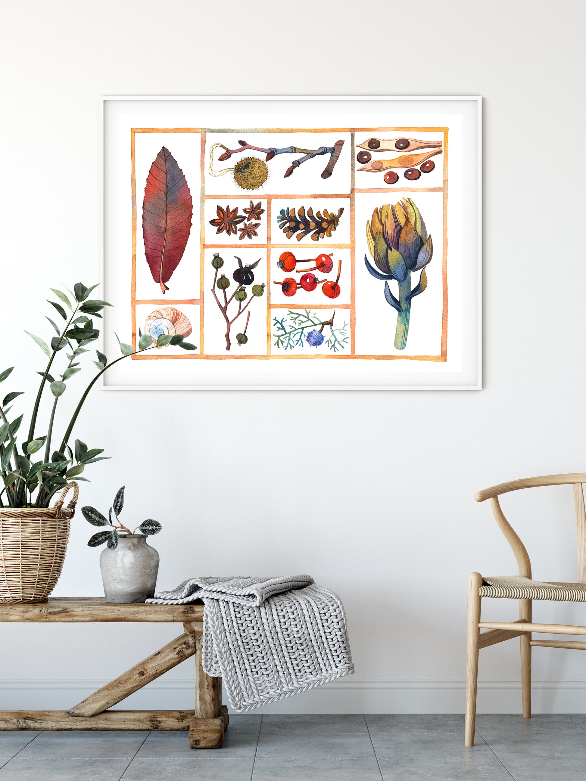 Framed natural history specimen box watercolor print, featured artichoke, leaves, cones and fruits, displayed on a white wall