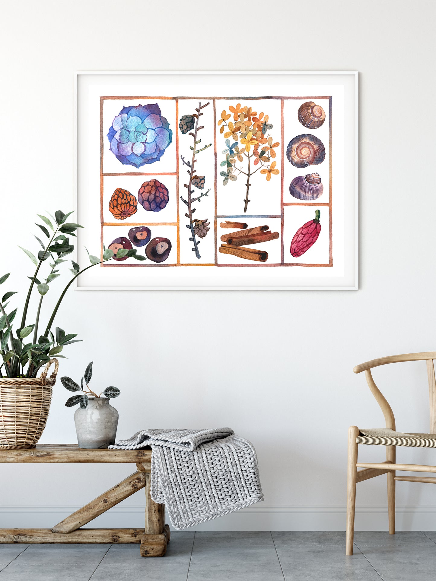 Framed specimen box watercolor print displayed on a white wall