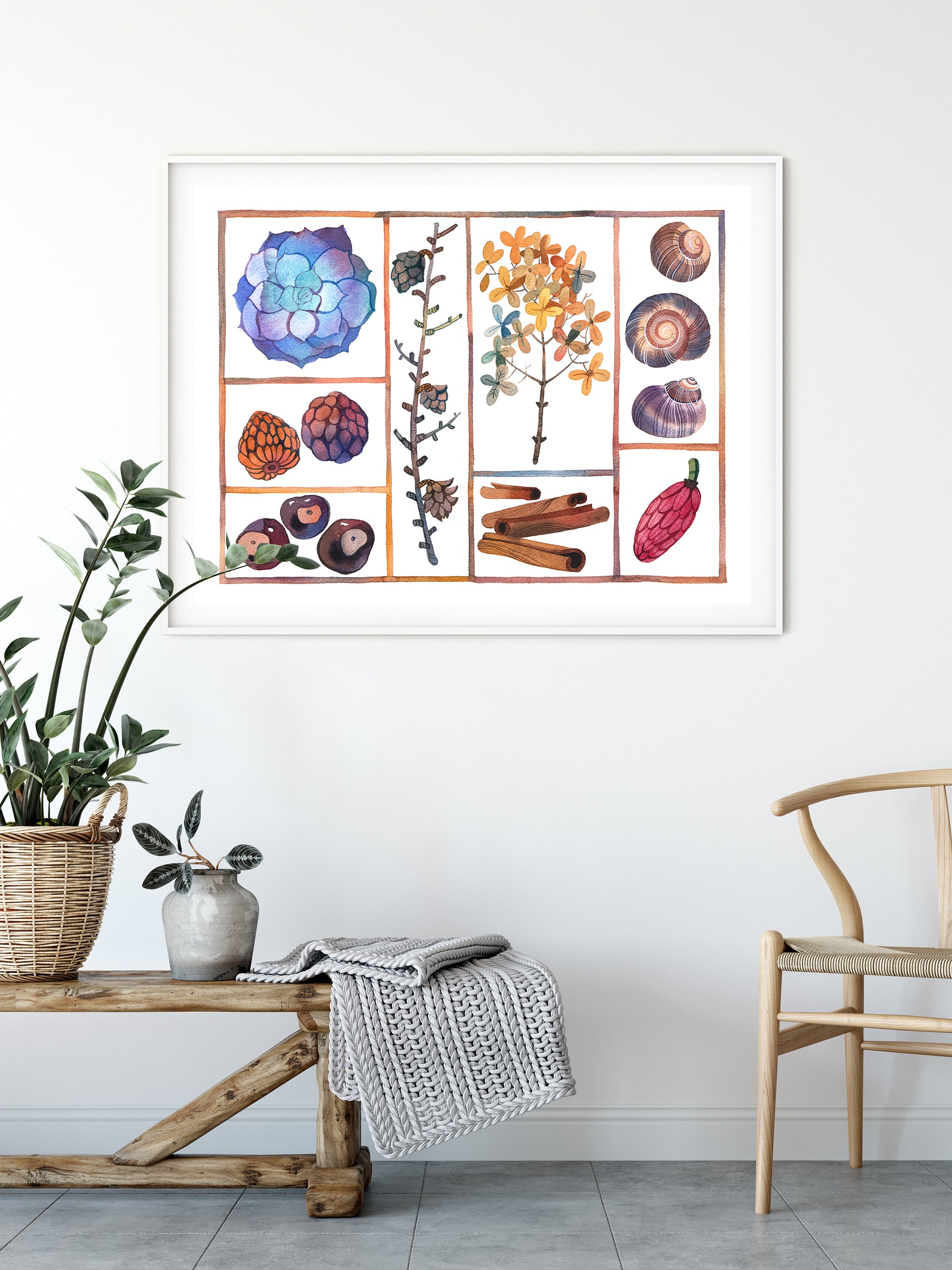 Framed specimen box watercolor print displayed on a white wall