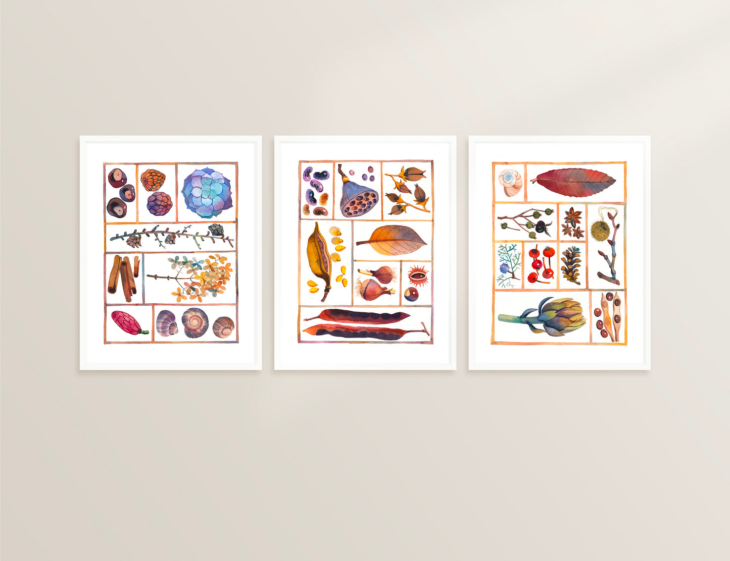 Set of three natural history specimen box watercolor prints, displayed in vertical frames on a gray wall
