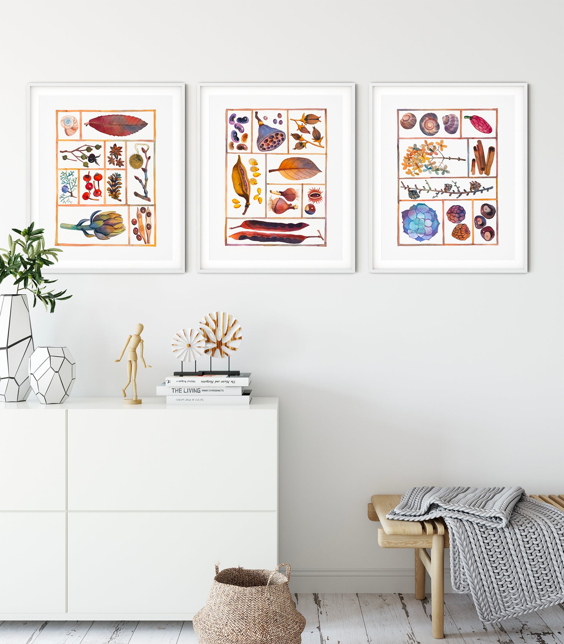 Set of three natural history specimen box watercolor prints, displayed in vertical frames on a living room wall