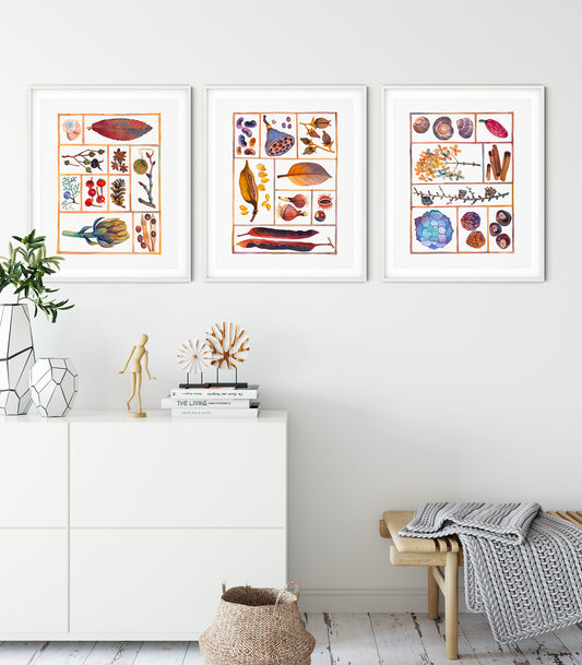 Set of three natural history specimen box watercolor prints, displayed in vertical frames on a living room wall