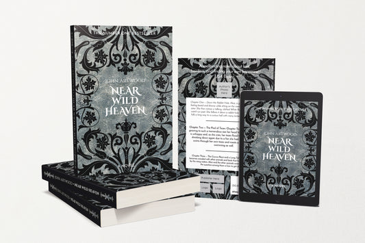 A paperback and e-book book covers featuring black baroque ornament on a silver background