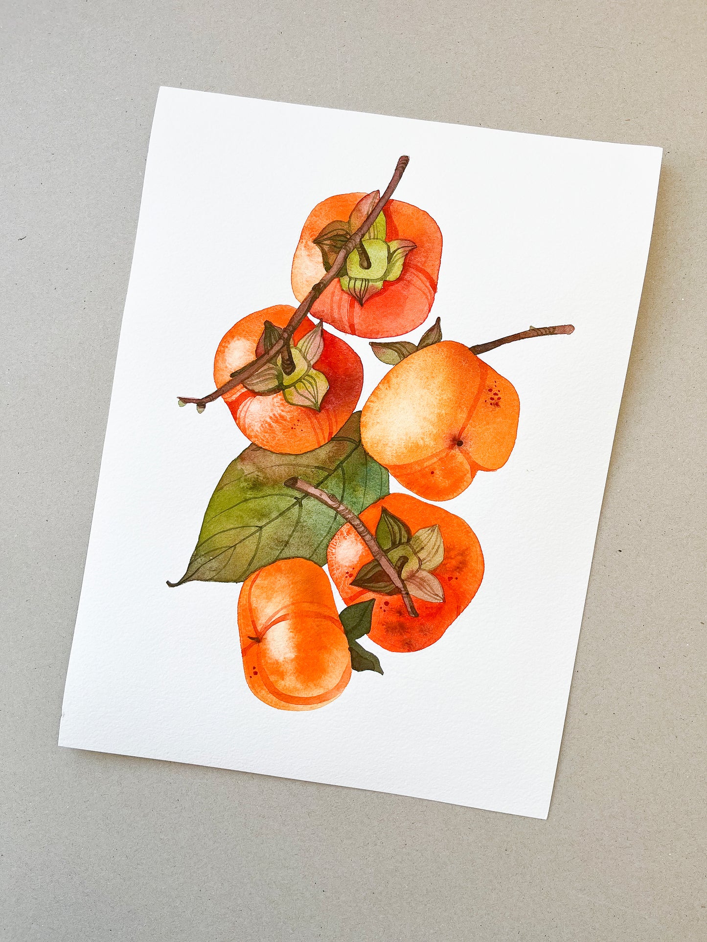 Original watercolor painting of a persimmon branch with fruits and leaf