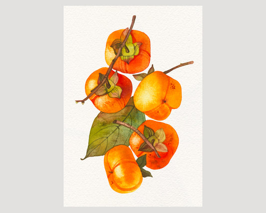 Persimmon branch with fruits and leaf watercolor art print