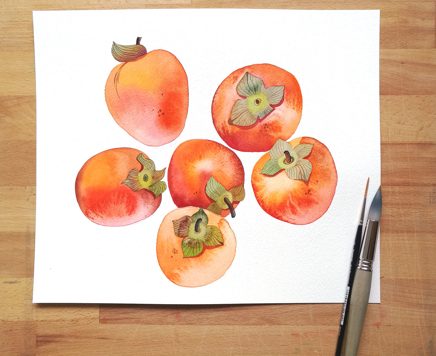 Original persimmons watercolor artwork